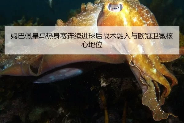 mu-ba-pei-huang-ma-re-shen-sai-lian-xu-jin-qiu-hou-zhan-shu-rong-ru-yu-ou-guan-wei-mian-he-xin-di-wei-2-249.jpg